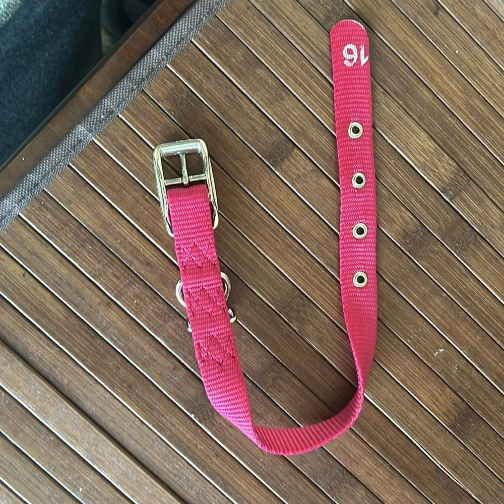 Hamilton 16 dog collar nwot pink - Picture 2 of 2
